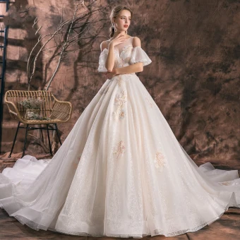 Romantic Champagne See Through Wedding Dresses 2019 A Line Princess Scoop Neck Short Sleeve Backless Appliques Lace Glitter Tulle Cathedral Train Ruffle
