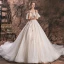 Romantisch Champagner Durchsichtige Brautkleider / Hochzeitskleider 2019 A Linie Rundhalsausschnitt Kurze Ärmel Rückenfreies Applikationen Spitze Glanz Tülle Kathedrale Schleppe Rüschen