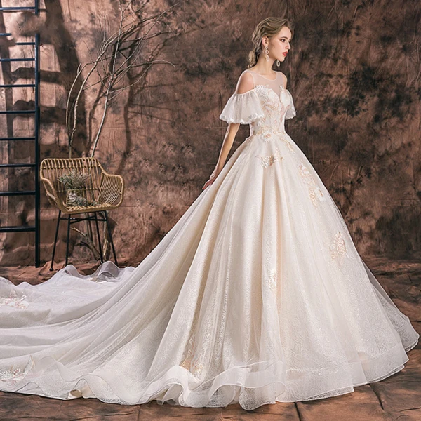 Romantisch Champagner Durchsichtige Brautkleider / Hochzeitskleider 2019 A Linie Rundhalsausschnitt Kurze Ärmel Rückenfreies Applikationen Spitze Glanz Tülle Kathedrale Schleppe Rüschen