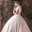 Romantisch Champagner Durchsichtige Brautkleider / Hochzeitskleider 2019 A Linie Rundhalsausschnitt Kurze Ärmel Rückenfreies Applikationen Spitze Glanz Tülle Kathedrale Schleppe Rüschen