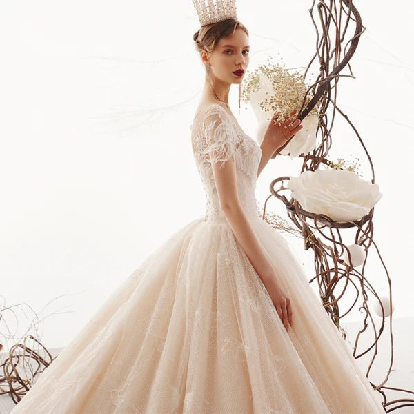 Luxus / Herrlich Champagner Durchsichtige Brautkleider / Hochzeitskleider 2019 A Linie Eckiger Ausschnitt Kurze Ärmel Rückenfreies Perlenstickerei Quaste Glanz Tülle Feder Kathedrale Schleppe Rüschen