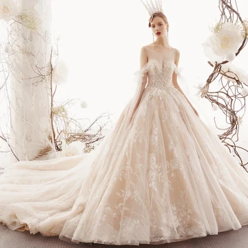 Best Champagne See Through Wedding Dresses 2019 A Line Princess Square Neckline Backless Appliques Lace Flower Pearl Beading Chapel Train Ruffle
