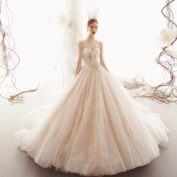 Elegant Champagne Brudekjoler 2019 Prinsesse Spaghettistropper Uten Ermer Ryggløse Appliques Blonder Perle Beading Chapel Train Buste