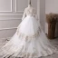 Chic / Belle Ivoire Transparentes Robe Ceremonie Fille 2019 Princesse V-Cou Manches Longues Noeud Ceinture Appliques En Dentelle Robe Pour Mariage Dos Nu Train De Balayage