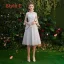 Affordable Grey Bridesmaid Dresses 2019 A-Line / Princess Appliques Lace Short Ruffle Backless Wedding Party Dresses