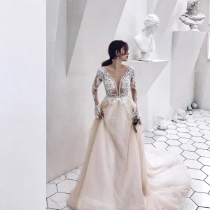 Illusion Champagne See Through Wedding Dresses 2019 A Line Princess Deep V Neck Long Sleeve Appliques Lace Beading Cathedral Train Ruffle