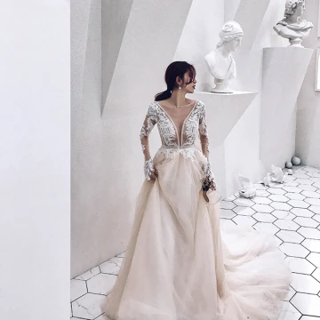 Illusion Champagne See Through Wedding Dresses 2019 A Line Princess Deep V Neck Long Sleeve Appliques Lace Beading Cathedral Train Ruffle