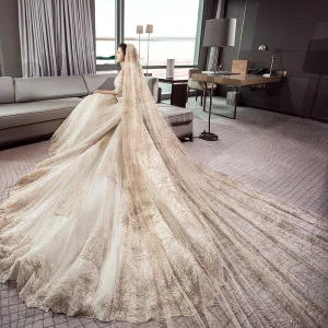 Étourdissant Champagne Robe De Mariée 2019 Robe Boule De L Épaule 1 2 Manches Dos Nu Appliques En Dentelle Cathedral Train Volants