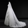 Vintage / Retro Ivory Wedding Dresses 2019 A-Line / Princess V-Neck Sleeveless Backless Appliques Lace Pearl Beading Watteau Train Ruffle