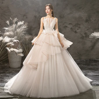 Modern Fashion Champagne Wedding Dresses 2019 A Line Princess V Neck Sleeveless Backless Glitter Tulle Beading Court Train Ruffle