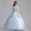 Elegant Sky Blue Flower Girl Dresses 2019 A-Line / Princess High Neck Sleeveless Appliques Lace Sequins Floor-Length / Long Ruffle Wedding Party Dresses