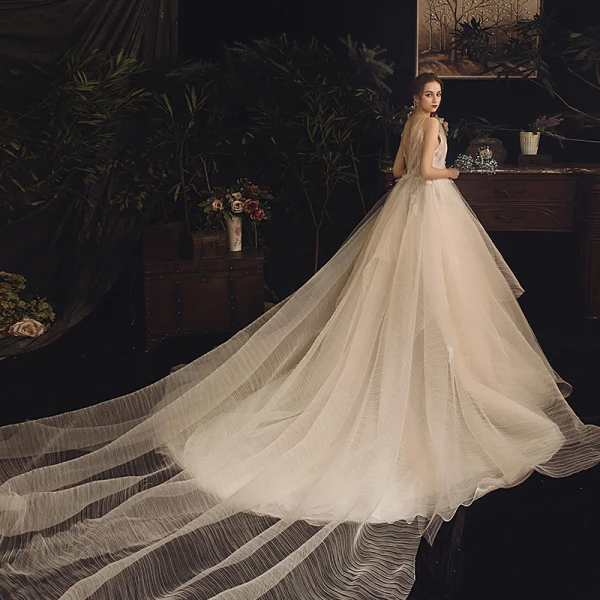 Fabuleux Champagne Robe De Mariée 2019 Princesse Bretelles Spaghetti Sans Manches Dos Nu Cristal Perlage Cathedral Train Volants