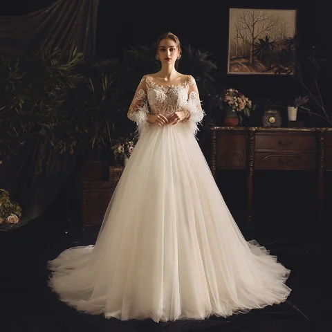 Illusion Champagner Durchsichtige Brautkleider / Hochzeitskleider 2019 A Linie Eckiger Ausschnitt Lange Ärmel Feder Rückenfreies Applikationen Spitze Durchbohrt Perlenstickerei Hof-Schleppe