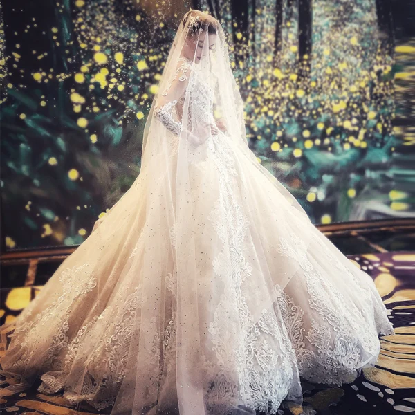 Vintage / Originale Champagne Transparentes Robe De Mariée 2019 Princesse Col Haut Manches Longues Dos Nu Appliques En Dentelle Perlage Longue Volants