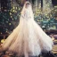 Vintage / Originale Champagne Transparentes Robe De Mariée 2019 Princesse Col Haut Manches Longues Dos Nu Appliques En Dentelle Perlage Longue Volants