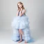 Chic / Beautiful Sky Blue See-through Flower Girl Dresses 2019 A-Line / Princess Scoop Neck Sleeveless Pearl Asymmetrical Cascading Ruffles Wedding Party Dresses