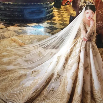Luxury Gorgeous Champagne See Through Wedding Dresses 2019 A Line Princess Scoop Neck Short Sleeve Backless Appliques Lace Beading Cathedral Train Ruffle