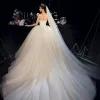 Modest / Simple Champagne Organza Corset Wedding Dresses 2019 Ball Gown Strapless Sleeveless Backless Cathedral Train Ruffle