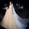 Bling Bling Champagne Organza Wedding Dresses 2019 Ball Gown See-through Deep V-Neck Sleeveless Backless Glitter Tulle Cathedral Train Ruffle