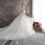 Illusion Champagne See-through Wedding Dresses 2019 Ball Gown Scoop Neck Backless Bell sleeves Beading Appliques Lace Watteau Train Ruffle