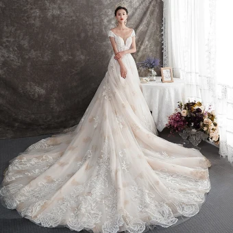 Elegant Champagne Wedding Dresses 2019 A Line Princess See Through Deep V Neck Cap Sleeves Backless Appliques Lace Beading Chapel Train Ruffle