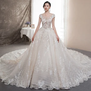 Illusion Champagne Transparentes Robe De Mariée 2019 Princesse Encolure Dégagée Mancherons Dos Nu Appliques En Dentelle Faux Diamant Perlage Glitter Tulle Cathedral Train Volants