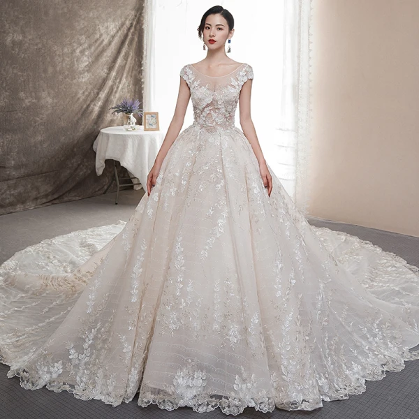 Illusion Champagne Transparentes Robe De Mariée 2019 Princesse Encolure Dégagée Mancherons Dos Nu Appliques En Dentelle Faux Diamant Perlage Glitter Tulle Cathedral Train Volants