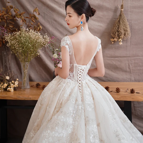 Illusion Champagne Transparentes Robe De Mariée 2019 Princesse Encolure Dégagée Mancherons Dos Nu Appliques En Dentelle Faux Diamant Perlage Glitter Tulle Cathedral Train Volants