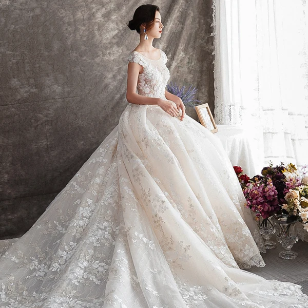 Illusion Champagne Transparentes Robe De Mariée 2019 Princesse Encolure Dégagée Mancherons Dos Nu Appliques En Dentelle Faux Diamant Perlage Glitter Tulle Cathedral Train Volants