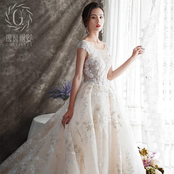 Illusion Champagne Transparentes Robe De Mariée 2019 Princesse Encolure Dégagée Mancherons Dos Nu Appliques En Dentelle Faux Diamant Perlage Glitter Tulle Cathedral Train Volants