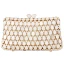 Amazing / Unique Champagne Rhinestone Clutch Bags 2019