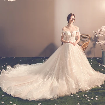Elegant Champagne See Through Wedding Dresses 2019 A Line Princess Scoop Neck Short Sleeve Backless Bow Appliques Lace Chapel Train Ruffle