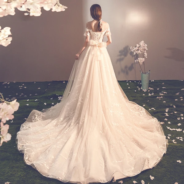 Elegante Champagner Durchsichtige Brautkleider / Hochzeitskleider 2019 A Linie Rundhalsausschnitt Kurze Ärmel Rückenfreies Schleife Applikationen Spitze Kapelle-Schleppe Rüschen