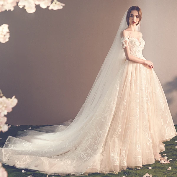 Elegante Champagner Durchsichtige Brautkleider / Hochzeitskleider 2019 A Linie Rundhalsausschnitt Kurze Ärmel Rückenfreies Schleife Applikationen Spitze Kapelle-Schleppe Rüschen