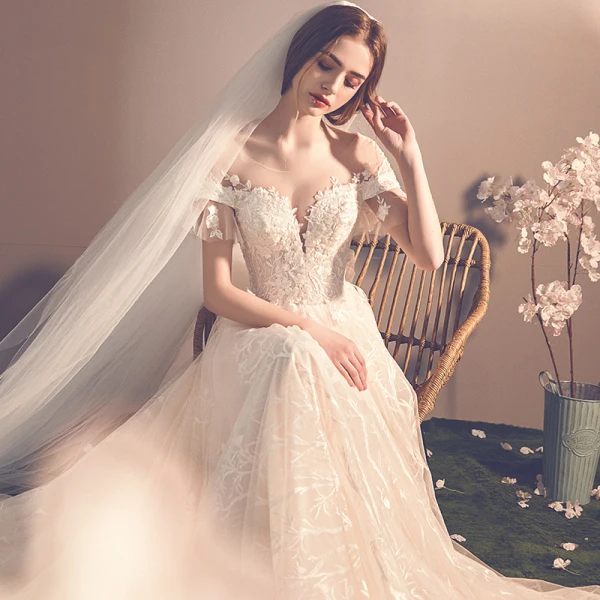 Elegante Champagner Durchsichtige Brautkleider / Hochzeitskleider 2019 A Linie Rundhalsausschnitt Kurze Ärmel Rückenfreies Schleife Applikationen Spitze Kapelle-Schleppe Rüschen