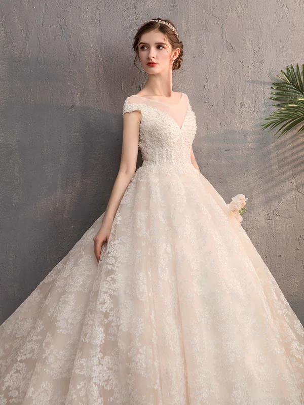 Best Champagne Wedding Dresses 2019 A-Line / Princess See-through V-Neck Cap Sleeves Backless Appliques Lace Beading Court Train Ruffle