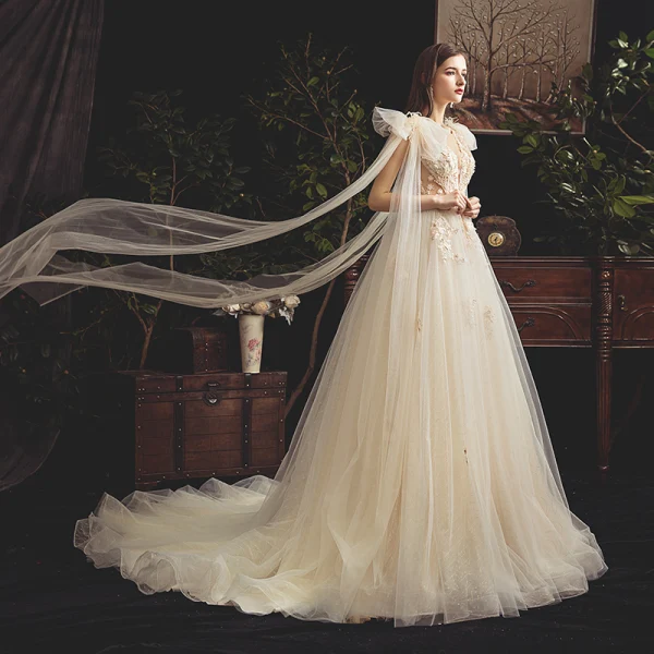 Chic / Belle Champagne Transparentes Robe De Mariée 2019 Princesse Col v profond Sans Manches Dos Nu Appliques En Dentelle Perlage Perle Plumes Ceinture Tribunal Train Volants