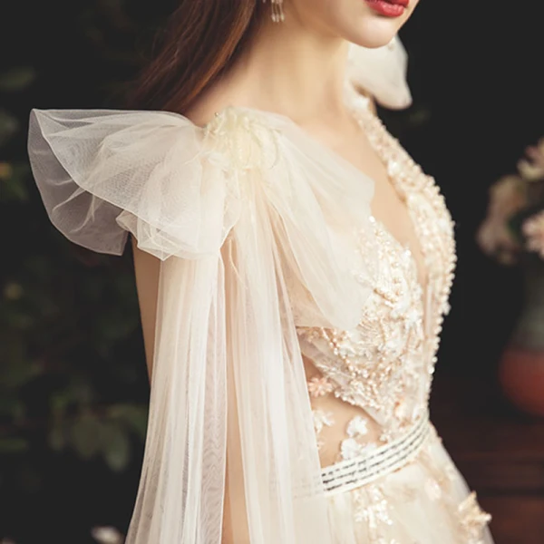 Chic / Belle Champagne Transparentes Robe De Mariée 2019 Princesse Col v profond Sans Manches Dos Nu Appliques En Dentelle Perlage Perle Plumes Ceinture Tribunal Train Volants