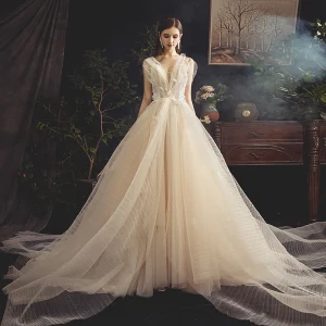 Fabulous Champagne Wedding Dresses 2019 A Line Princess Spaghetti Straps Sleeveless Backless Appliques Lace Beading Pearl Cathedral Train Ruffle
