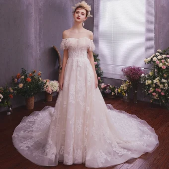 Élégant Champagne Robe De Mariée 2019 Princesse Transparentes Encolure Dégagée Manches Courtes Dos Nu Appliques En Dentelle Plumes Glitter Tulle Tribunal Train Volants