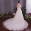 Élégant Champagne Robe De Mariée 2019 Princesse Transparentes Encolure Dégagée Manches Courtes Dos Nu Appliques En Dentelle Plumes Glitter Tulle Tribunal Train Volants