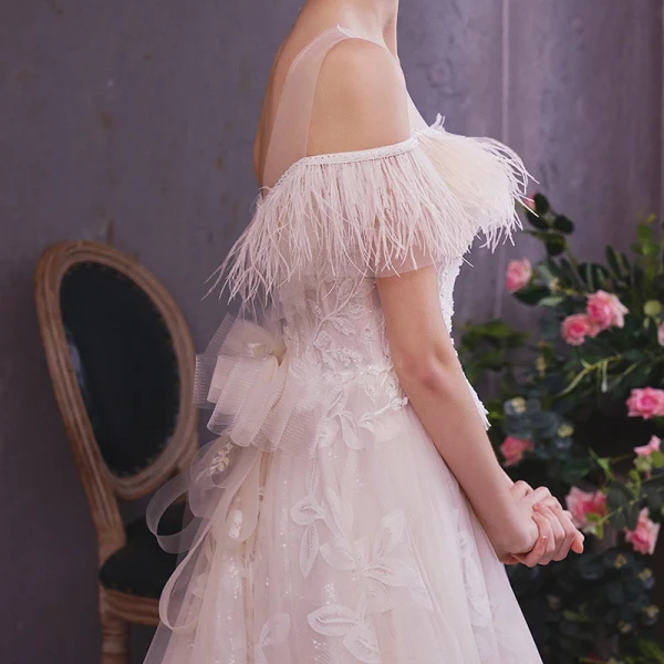 Élégant Champagne Robe De Mariée 2019 Princesse Transparentes Encolure Dégagée Manches Courtes Dos Nu Appliques En Dentelle Plumes Glitter Tulle Tribunal Train Volants