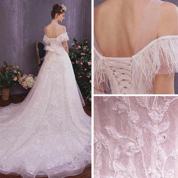 Élégant Champagne Robe De Mariée 2019 Princesse Transparentes Encolure Dégagée Manches Courtes Dos Nu Appliques En Dentelle Plumes Glitter Tulle Tribunal Train Volants