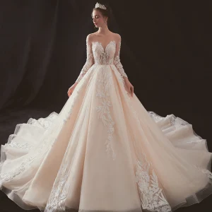 Illusion Champagne Genomskinliga Bröllopsklänningar 2019 Prinsessa Urringning Halterneck Långärmad Pierced Appliqués Spets Beading Chapel Train Ruffle