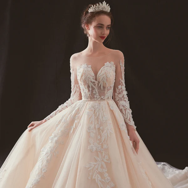 Illusion Champagne Transparentes Robe De Mariée 2019 Princesse Encolure Dégagée Dos Nu Manches Longues Percé Appliques En Dentelle Perlage Chapel Train Volants