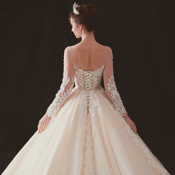 Illusion Champagne Transparentes Robe De Mariée 2019 Princesse Encolure Dégagée Dos Nu Manches Longues Percé Appliques En Dentelle Perlage Chapel Train Volants