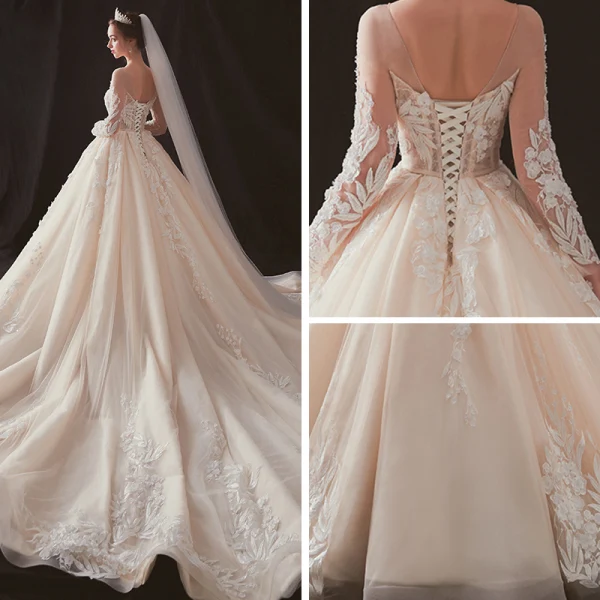 Illusion Champagne Transparentes Robe De Mariée 2019 Princesse Encolure Dégagée Dos Nu Manches Longues Percé Appliques En Dentelle Perlage Chapel Train Volants