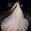 Luxe Champagne Transparentes Robe De Mariée 2019 Princesse Col v profond Manches Courtes Perlage Gland Dos Nu Appliques En Dentelle Cathedral Train Volants