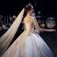 Luxe Champagne Transparentes Robe De Mariée 2019 Princesse Col v profond Manches Courtes Perlage Gland Dos Nu Appliques En Dentelle Cathedral Train Volants