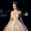 Luxe Champagne Transparentes Robe De Mariée 2019 Princesse Col v profond Manches Courtes Perlage Gland Dos Nu Appliques En Dentelle Cathedral Train Volants